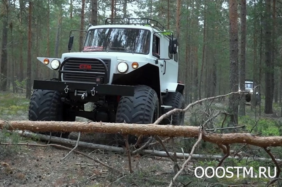 СТМ-39931 для охоты
